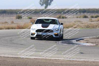 media/Nov-01-2025-PCA Central Coast (Sat) [[5e27ded23e]]/White Group/Grapevine/